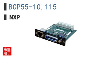 BCP55-10,115