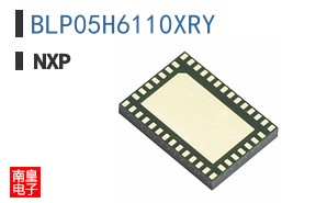 BLP05H6110XRY