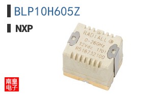 BLP10H605Z