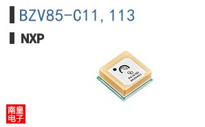 BZV85-C11,113