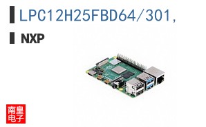LPC12H25FBD64/301,