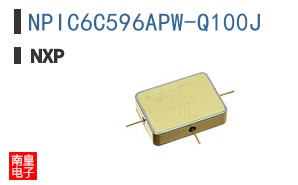 NPIC6C596APW-Q100J