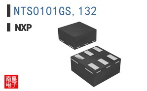 NTS0101GS,132