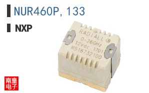 NUR460P,133