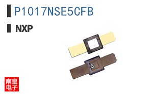 P1017NSE5CFB