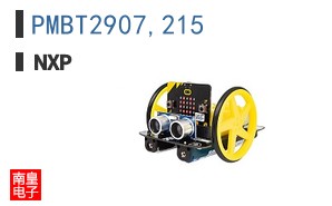 PMBT2907,215