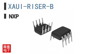 XAUI-RISER-B